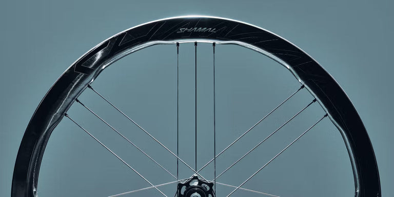 Campagnolo Shamal C23 Dual Profile carbon wheelset for premium complete bicycle side view.