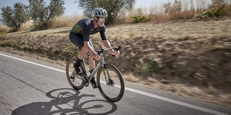Official Cipollini retailer