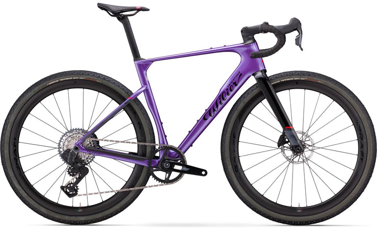 Wilier Rave SLR ID2 2026 | Sram Force XPLR E1 1X13 | Miche Graff Aero 48 | Complete Bike