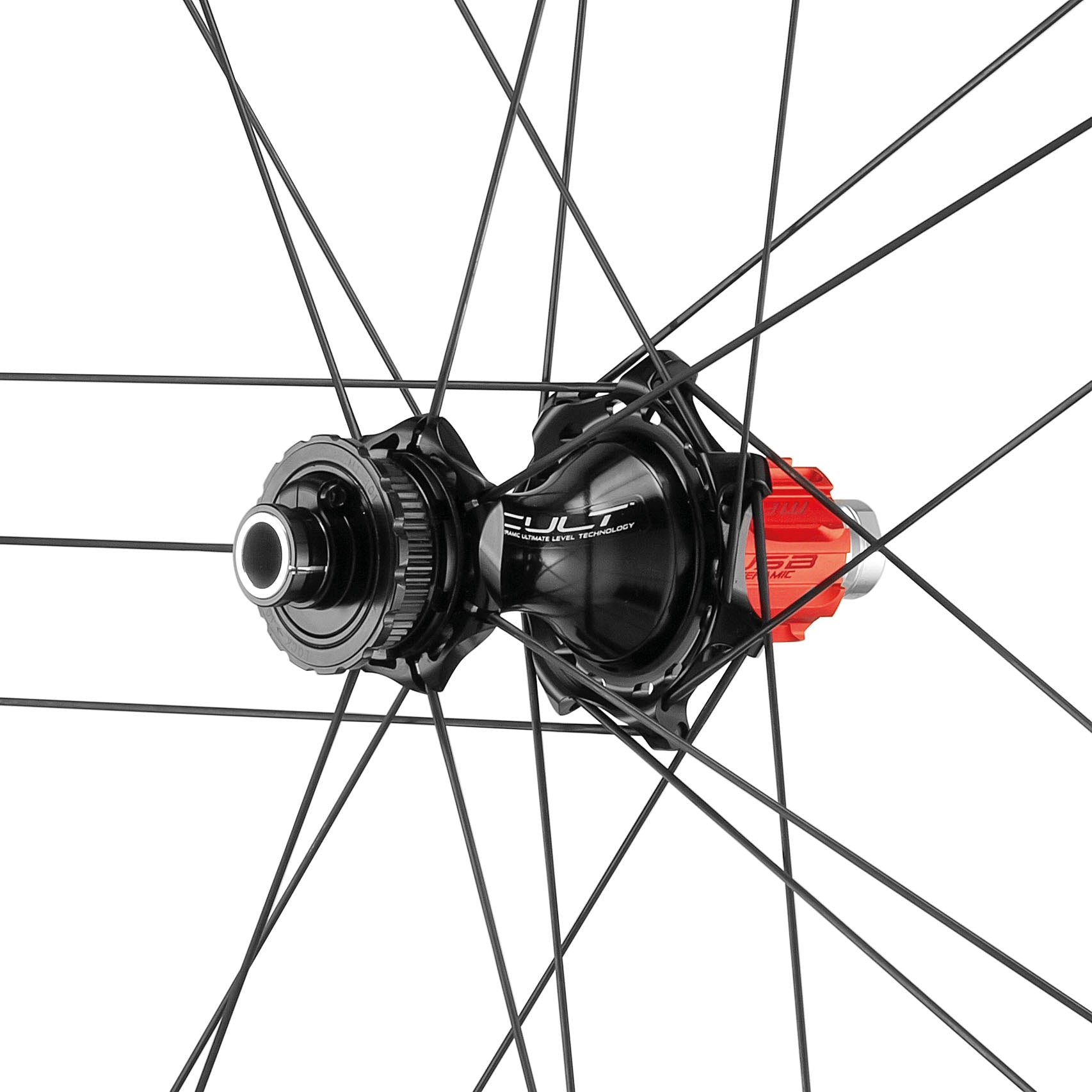Campagnolo Bora Ultra WTO 45 Team Edition C23 Wheelset | Cicli Corsa