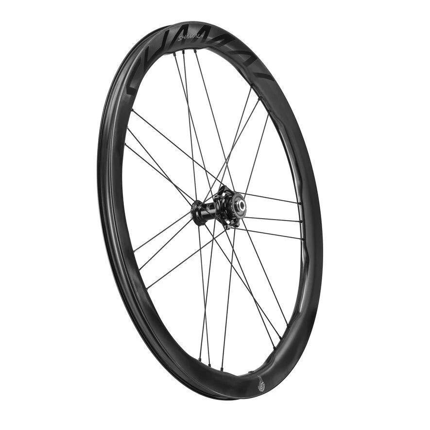 Campagnolo Shamal Dual Prof Wheelset | Cicli Corsa