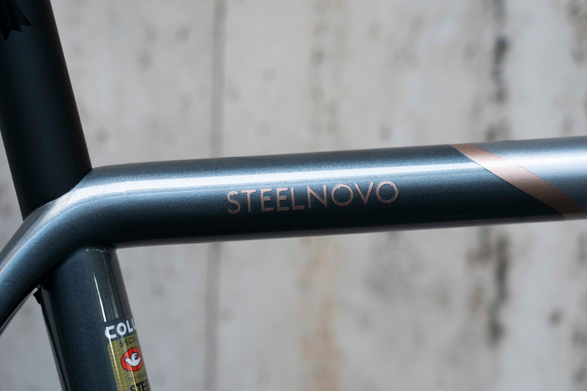 Logo Campagnolo Road Bike Frame