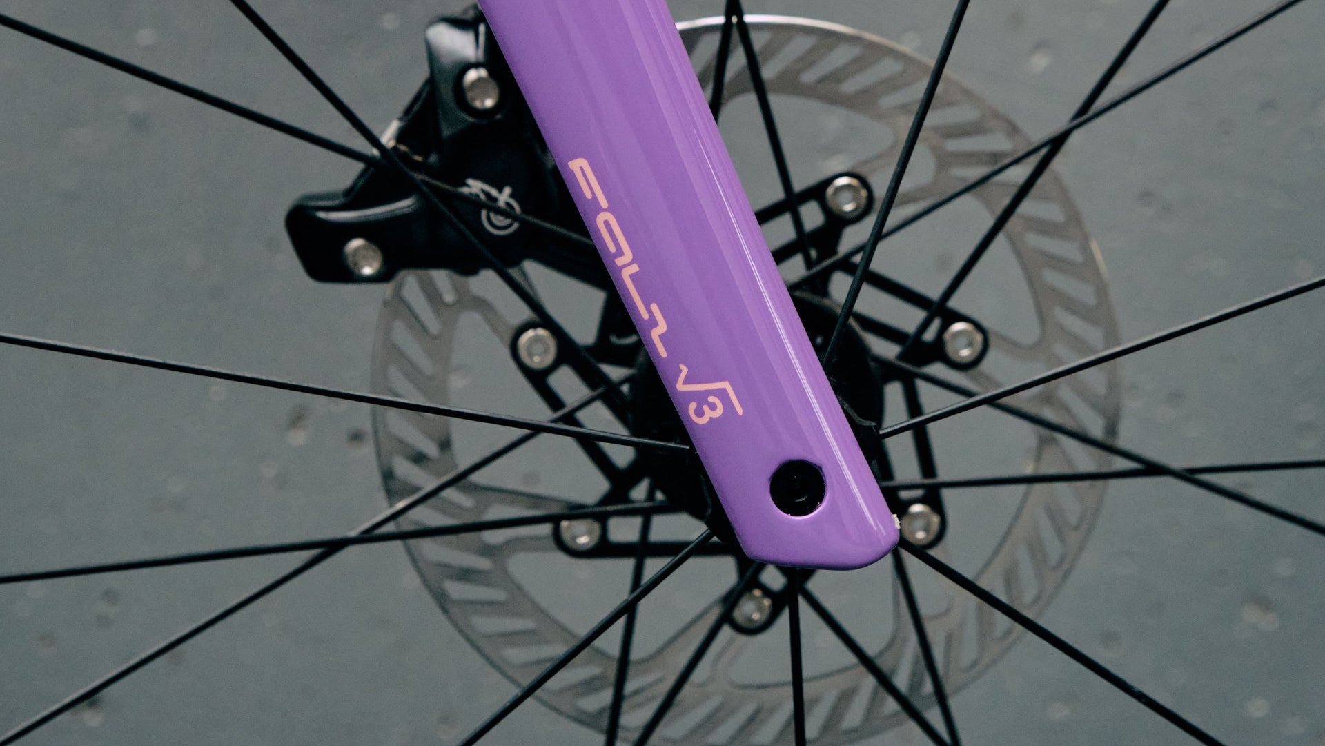 Campagnolo hydraulic disc brake caliper on the iconic Pegoretti Falz carbon fork of the Dario Pegoretti Round complete bicycle by Cicli Corsa.