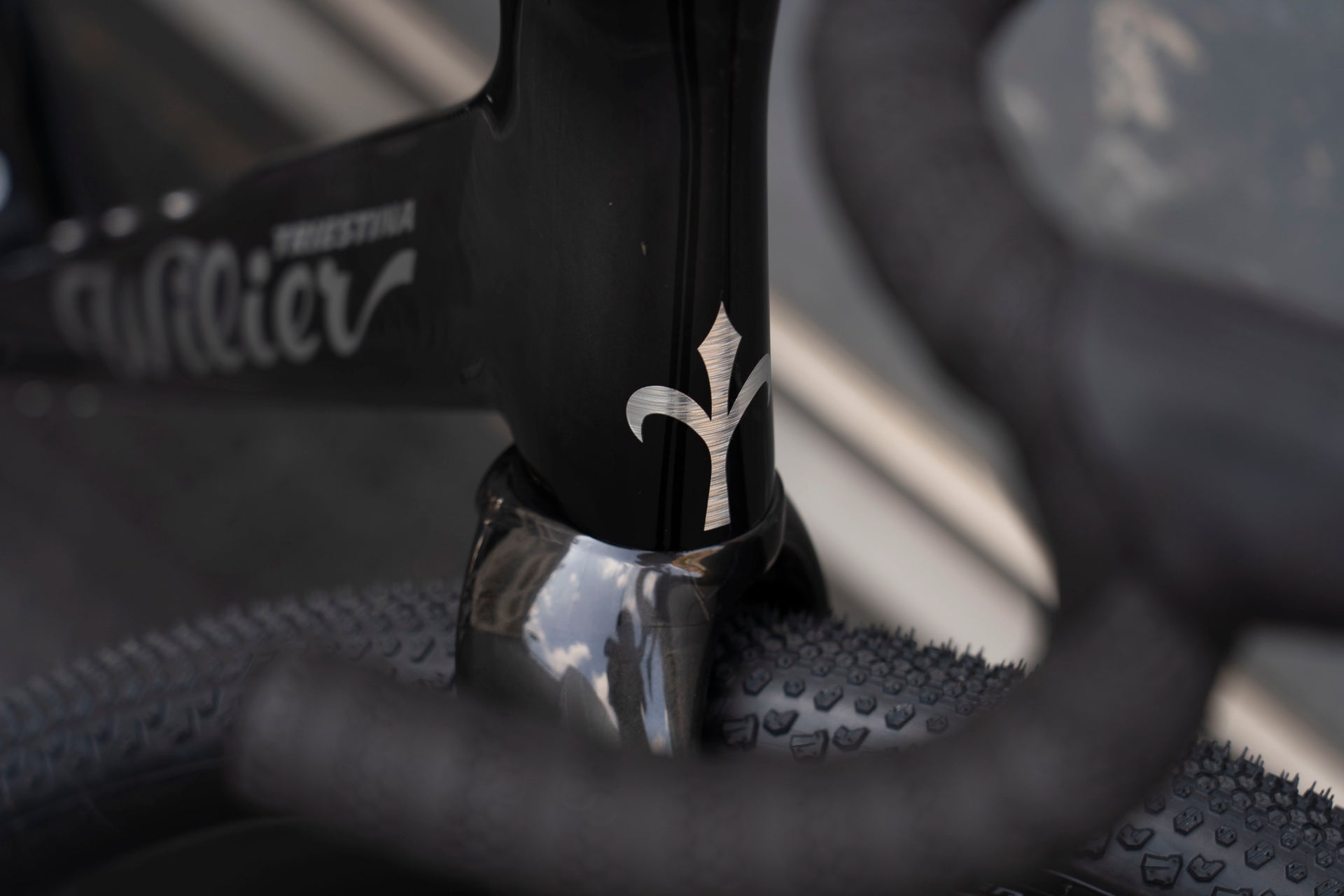 Front Logo Wilier Rave Complete Bicycle
