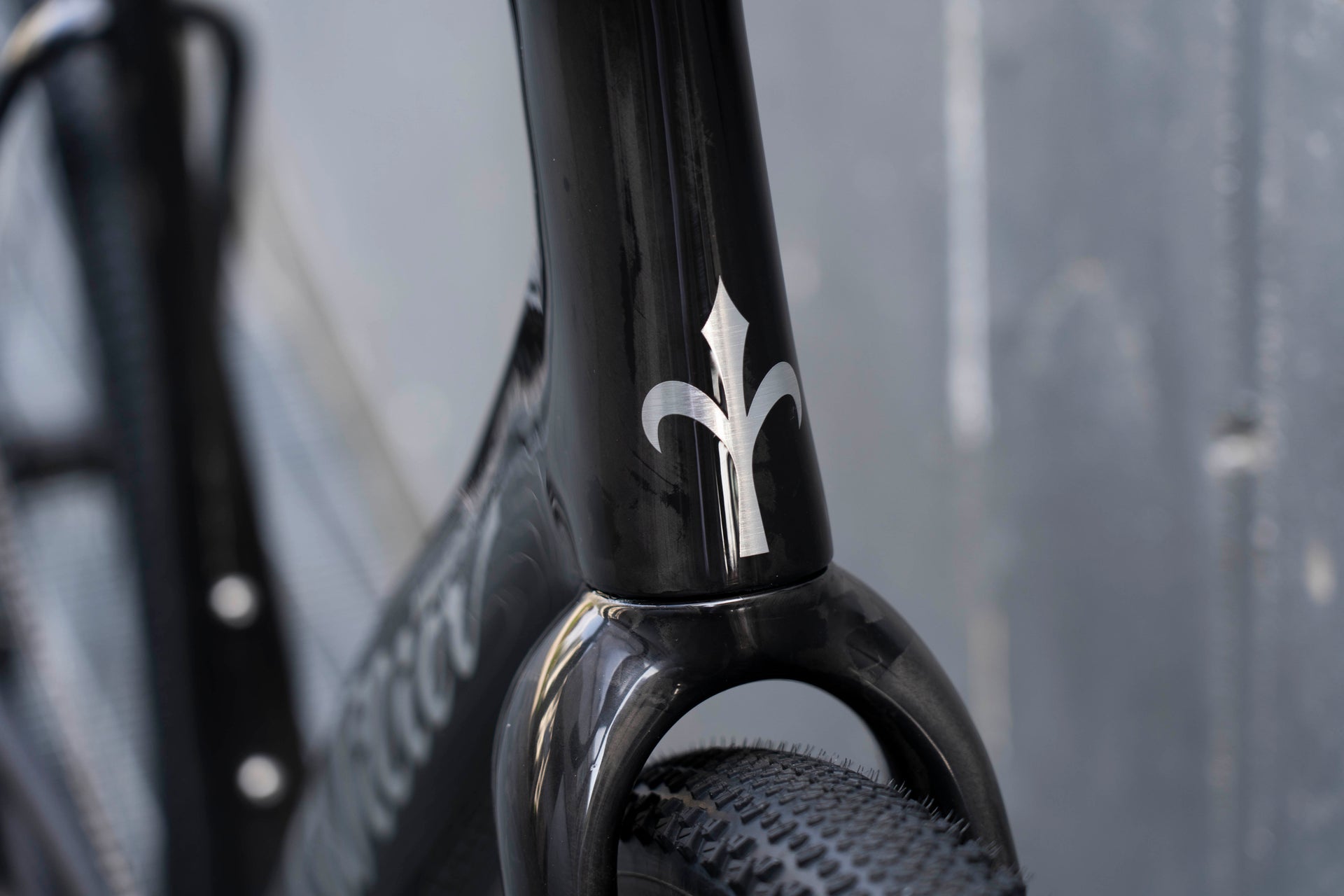 Cicli Corsa Wilier Rave SLR XL Glitch Black Rival XPLR Miche Graff Front Logo