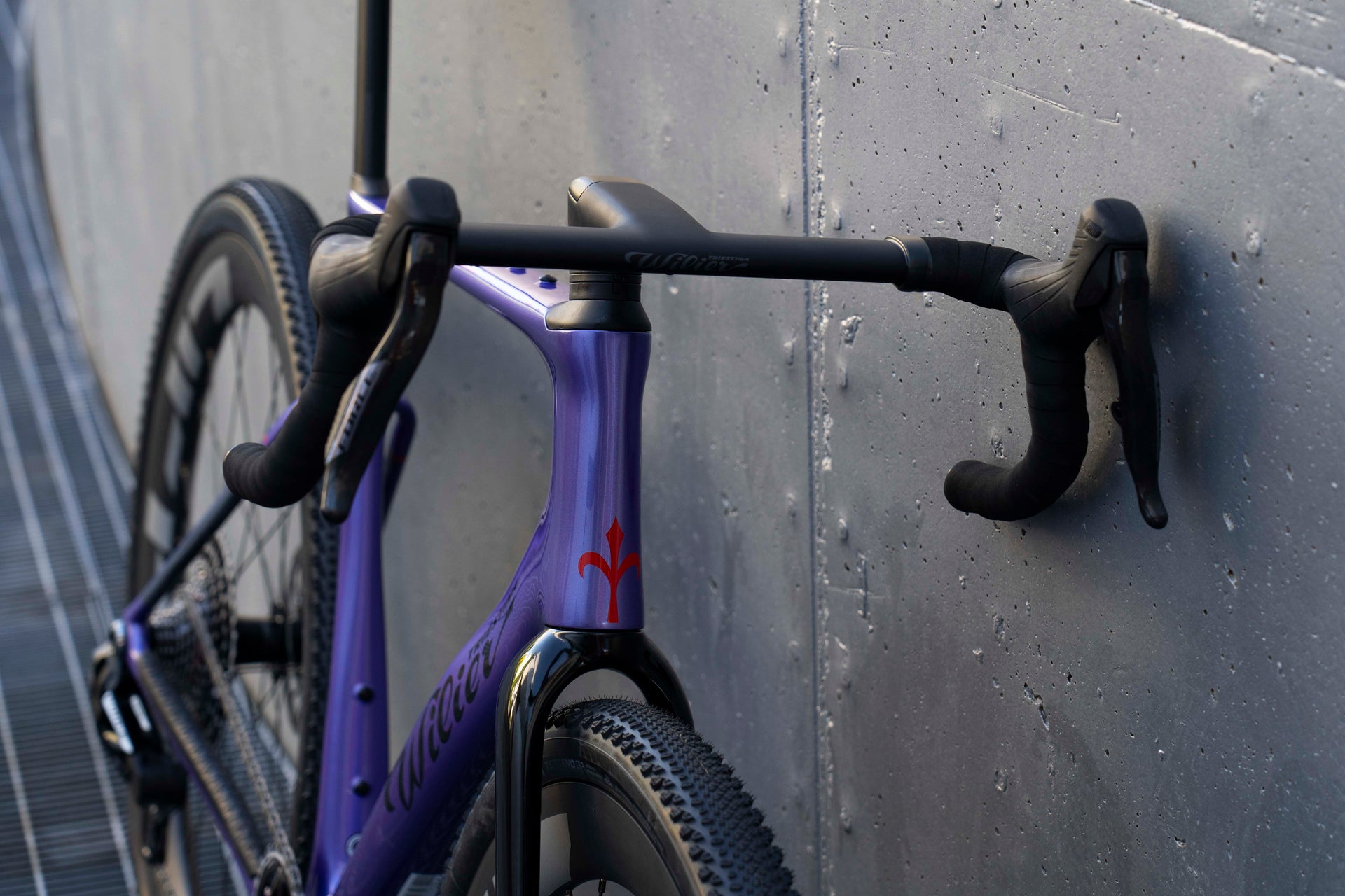 Frame Front view of the Wilier Rave SLR gravel complete bicycle by Cicli Corsa.