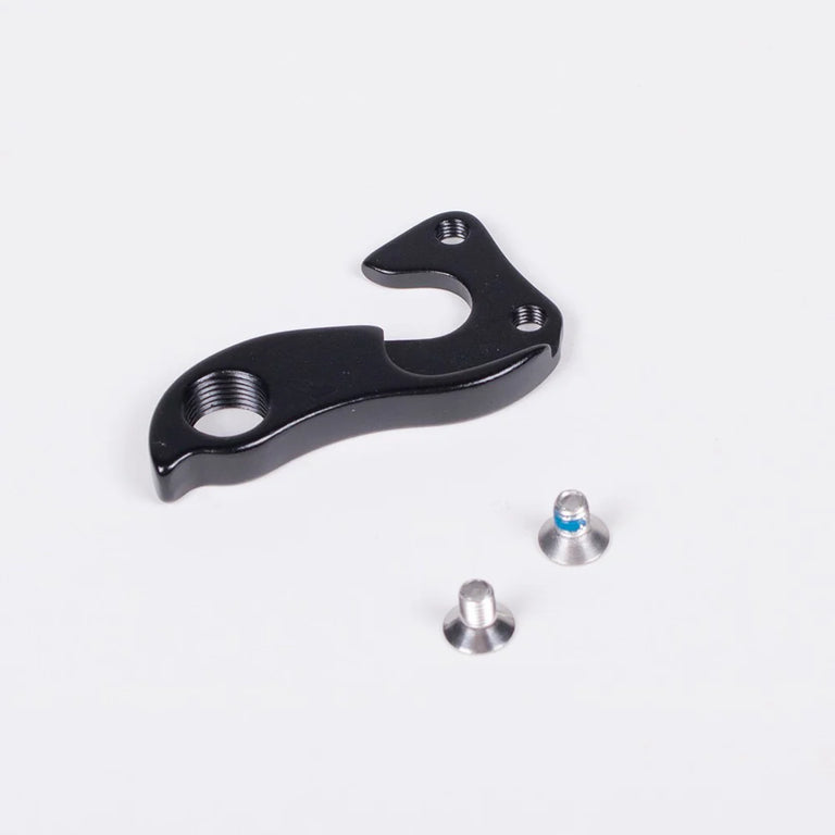 Cinelli derailleur hanger superstar rim