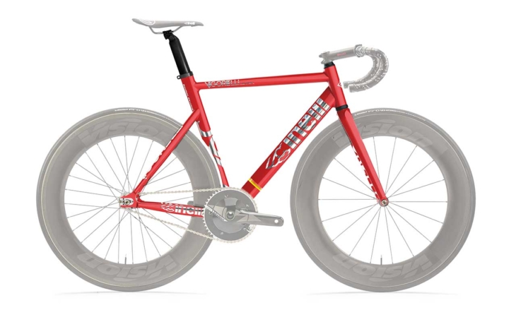 cinelli shark